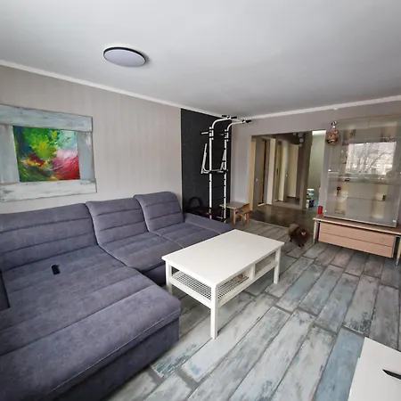 Sitsi Tallinn
